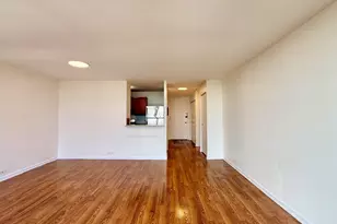 3001 S Michigan Ave, Chicago, IL 60616 - Photo 9