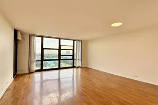3001 S Michigan Ave, Chicago, IL 60616 - Photo 3