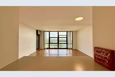 3001 S Michigan Avenue #1303, Chicago, IL 60616 - Photo 13