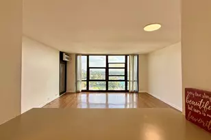 3001 S Michigan Ave, Chicago, IL 60616 - Photo 13