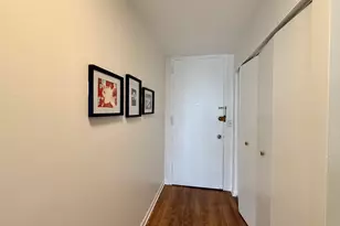 3001 S Michigan Ave, Chicago, IL 60616 - Photo 17
