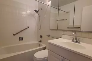 1310 N Ritchie Ct, Chicago, IL 60610 - Photo 15
