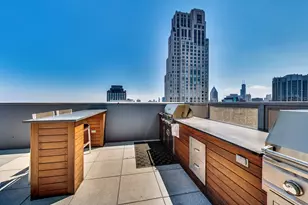 600 N Lake Shore Dr, Chicago, IL 60611 - Photo 69