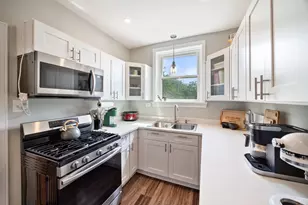 338 S East Ave, Oak Park, IL 60302 - Photo 3