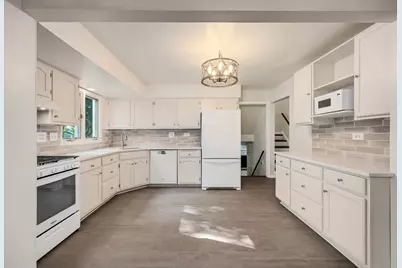 6151 Leonard Avenue, Downers Grove, IL 60516 - Photo 3
