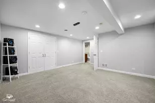 3356 Lapp Ln, Naperville, IL 60564 - Photo 29