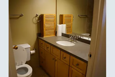 211 E Ohio Street #923, Chicago, IL 60611 - Photo 5