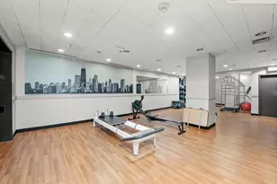 211 E Ohio St, Chicago, IL 60611 - Photo 11