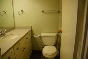 211 E Ohio St, Chicago, IL 60611 - Photo 7