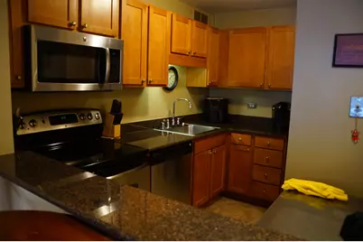 211 E Ohio Street #923, Chicago, IL 60611 - Photo 3