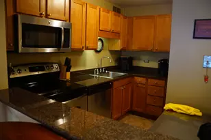 211 E Ohio St, Chicago, IL 60611 - Photo 3