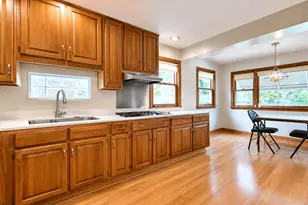 6227 N Naper Ave, Chicago, IL 60631 - Photo 9