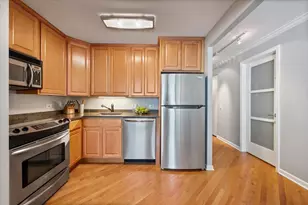 480 N McClurg Ct, Chicago, IL 60611 - Photo 9