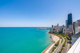 1300 N Lake Shore Dr, Chicago, IL 60610 - Photo 23