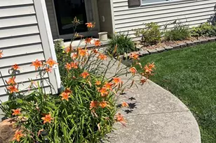 304 Thames Dr, Shorewood, IL 60404 - Photo 55