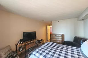 480 N McClurg Ct, Chicago, IL 60611 - Photo 13