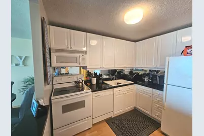 480 N McClurg Court #1106, Chicago, IL 60611 - Photo 11