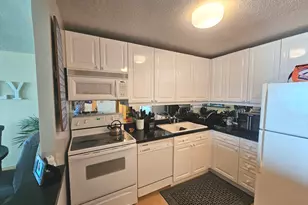 480 N McClurg Ct, Chicago, IL 60611 - Photo 11