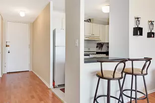 2605 S Indiana Ave, Chicago, IL 60616 - Photo 11