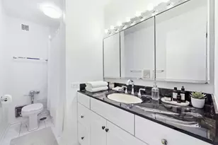 535 N Michigan Ave, Chicago, IL 60611 - Photo 13