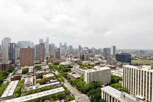 111 W Maple St, Chicago, IL 60610 - Photo 11