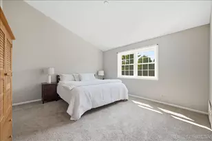 2803 Springdale Cir, Naperville, IL 60564 - Photo 19