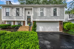 682 Shining Water Dr, Carol Stream, IL 60188 - Photo 1