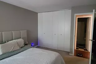 425 Walnut Creek Ln, Lisle, IL 60532 - Photo 9