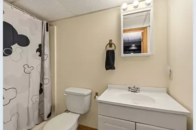 2S291 Pine Row Court, Elburn, IL 60119 - Photo 41