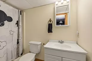 2S291 Pine Row Ct, Elburn, IL 60119 - Photo 41
