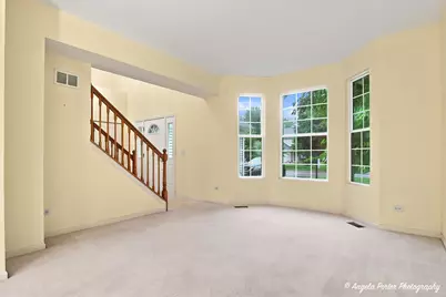 317 Talismon Drive, Crystal Lake, IL 60012 - Photo 3