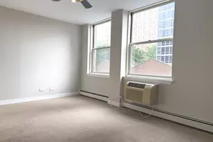 3033 N Sheridan Rd, Chicago, IL 60657 - Photo 15