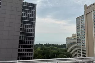 3033 N Sheridan Rd, Chicago, IL 60657 - Photo 25