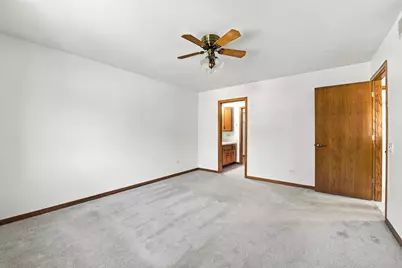 211 Fox Run Drive, Elwood, IL 60421 - Photo 17