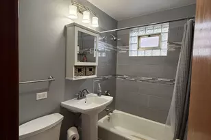 7966 S Kolin Ave, Chicago, IL 60652 - Photo 9