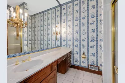 25W471 Plamondon Road, Wheaton, IL 60189 - Photo 37