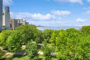 505 N Lake Shore Dr, Chicago, IL 60611 - Photo 19
