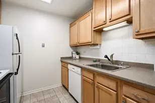 420 W Aldine Ave, Chicago, IL 60657 - Photo 9