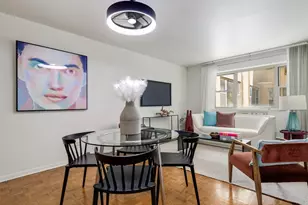 420 W Aldine Ave, Chicago, IL 60657 - Photo 5