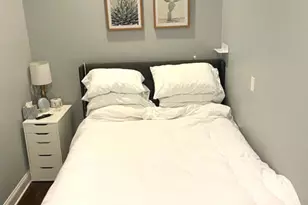 1718 W Pierce Ave, Chicago, IL 60622 - Photo 5