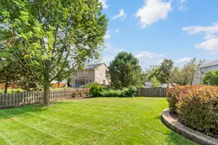 3 Walbridge Ct, Algonquin, IL 60102 - Photo 43
