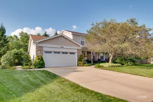 729 Cutters Mill Ct, Schaumburg, IL 60194 - Photo 1