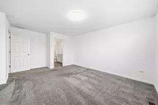 13903 S Belmont Dr, Homer Glen, IL 60491 - Photo 11