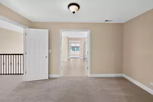 274 Rockville Ln, Gilberts, IL 60136 - Photo 19