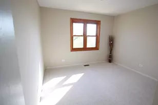 8247 W Wintergreen Dr, Frankfort, IL 60423 - Photo 23