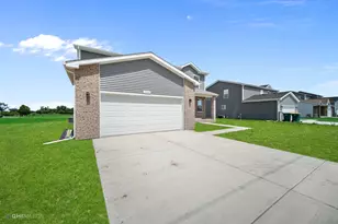 1001 Redwing Dr, Braidwood, IL 60408 - Photo 27