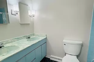 7011 N Hamlin Ave, Lincolnwood, IL 60712 - Photo 15