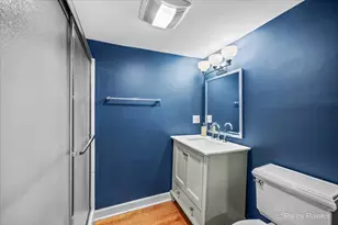 2439 N Kedzie Blvd, Chicago, IL 60647 - Photo 21