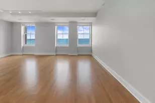 850 N Lake Shore Dr, Chicago, IL 60611 - Photo 5