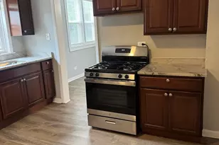 7521 S Ellis Ave, Chicago, IL 60619 - Photo 3